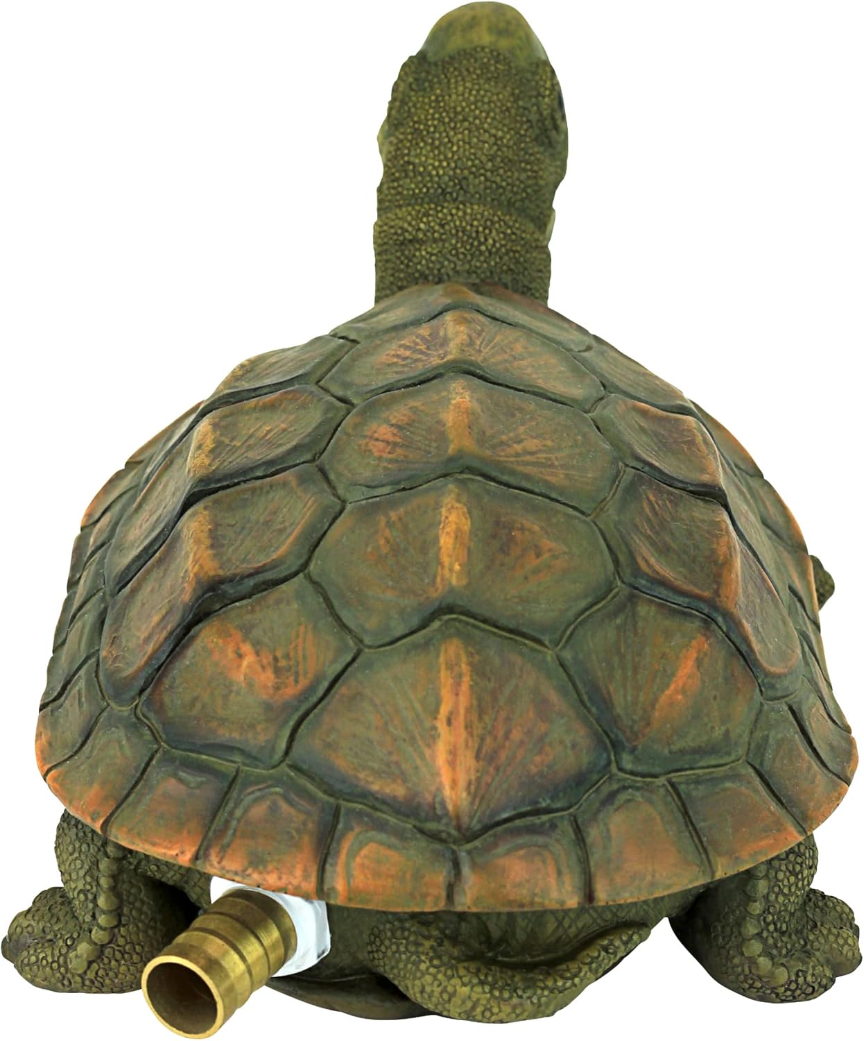 Design Toscano Sprinke The Turtle Piped Spitter Statue