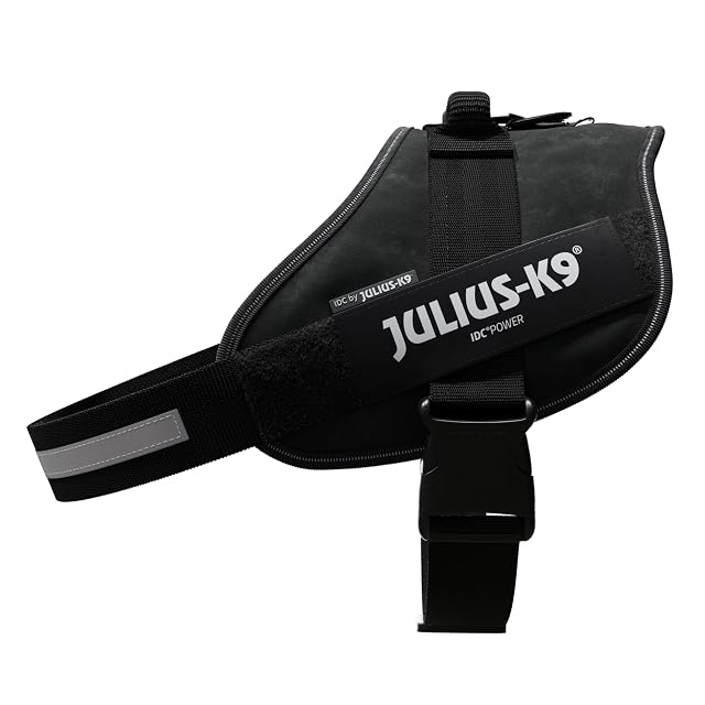 Foto 3 de 8 de JULIUS-K9 16IDC Power Harness