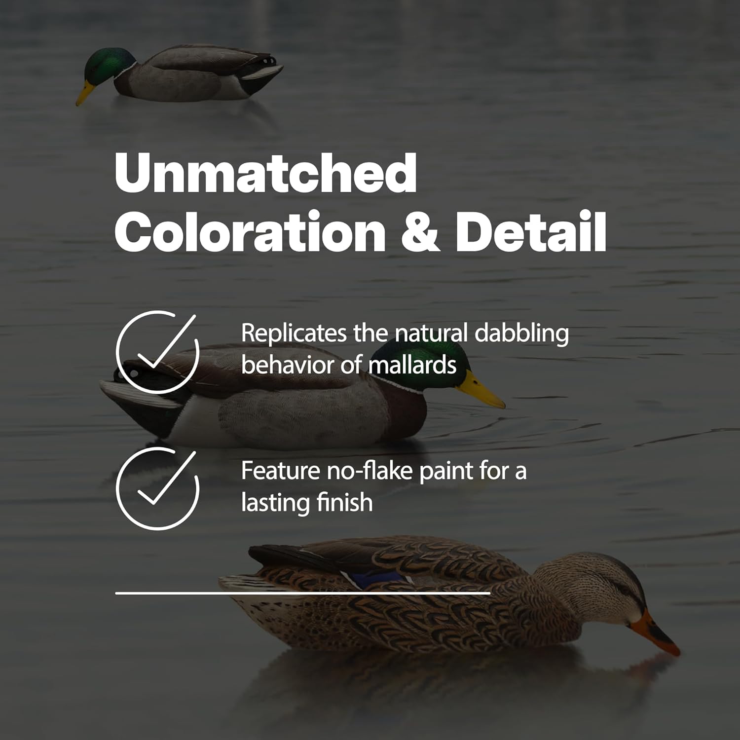 Avian-X Topflight Realistic Floating Fusion Mallards with Rugged Design and Topflight Backwater Mallards Ultra Realistic Floating Decoys