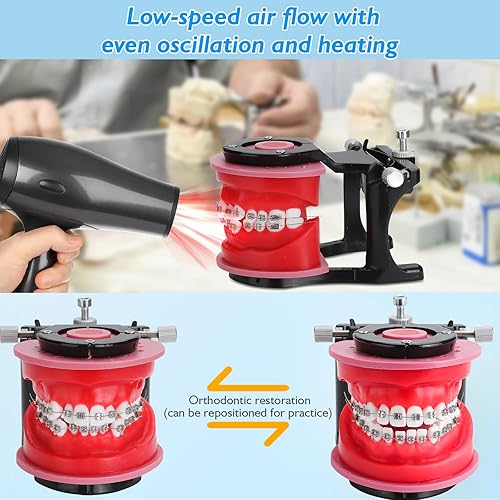 Miniatura 2 de Modelo de Typodonts de ortodoncia - Modelo de práctica de dientes de terraplén de cera de encías, moldes de reposicionamiento de ortodoncia para