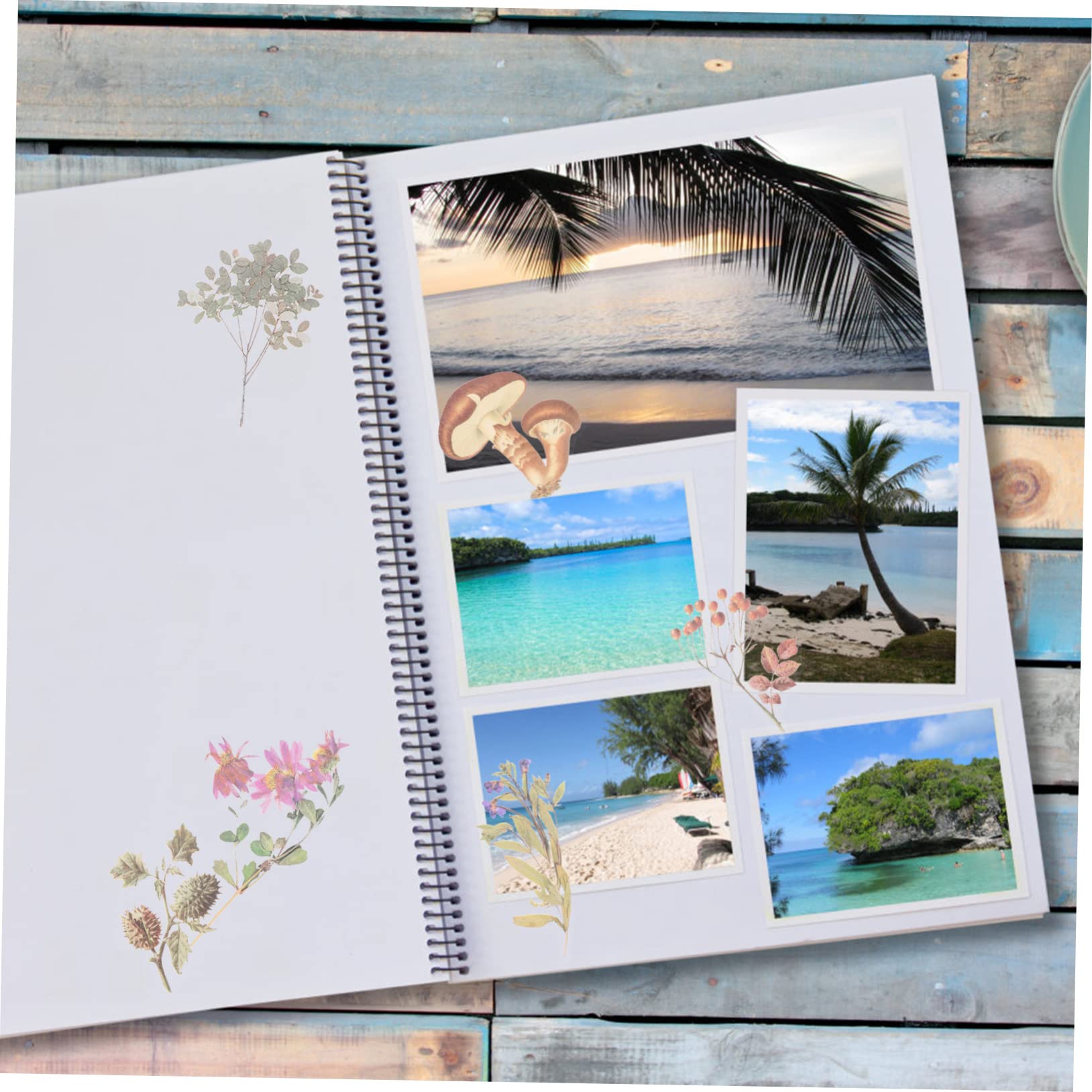 NUOBESTY 600stücke Pflanzenaufkleber Transparente Pet Blumen Sticker Für Scrapbooking Handbuch Fotoalbum Und Journaling Ästhetische Designs Für Kreative Bastelprojekte