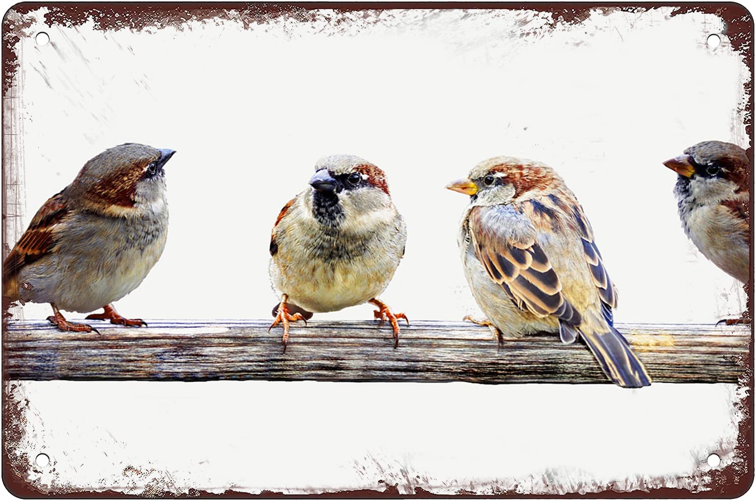 Pibonto Boys Wall Art Sparrow Perch Birds On A Wire Tin Sign Retro Poster Bird Vintage Room Decor Iron Painting Metal Signs For Farmhouse Kitchen Decor Bathroom Man Cave Decor Cafe Garage Coffe Bar Wall Decor 8X5.5 Inch