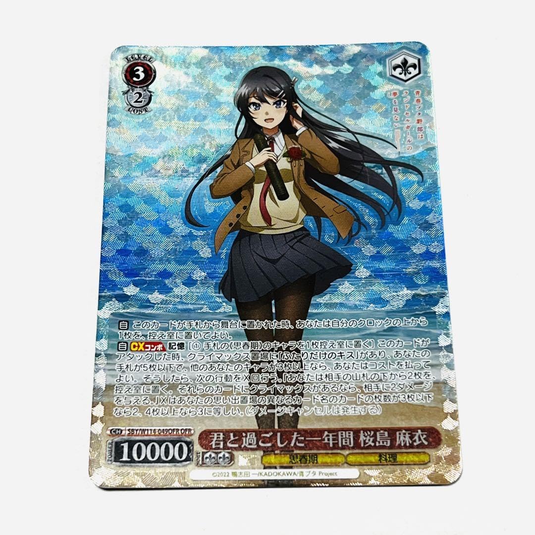 ヴァイスシュヴァルツ 青春ブタ野郎 青ブタ 君と過ごした一年間 桜島