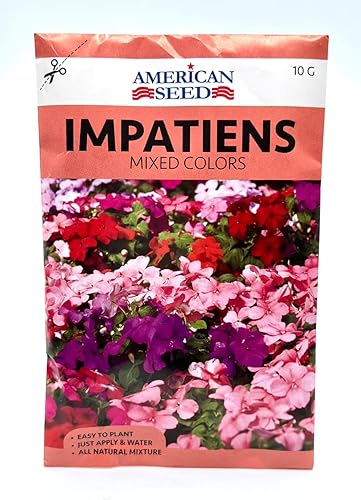 Semillas, impacientes, colores mezclados, semillas de flores
