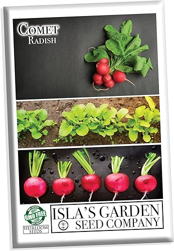 Semillas de rábano cometa para plantar, más de 200 semillas tradicionales por paquete, semillas de jardín de Isla (semillas de jardín de Isla),