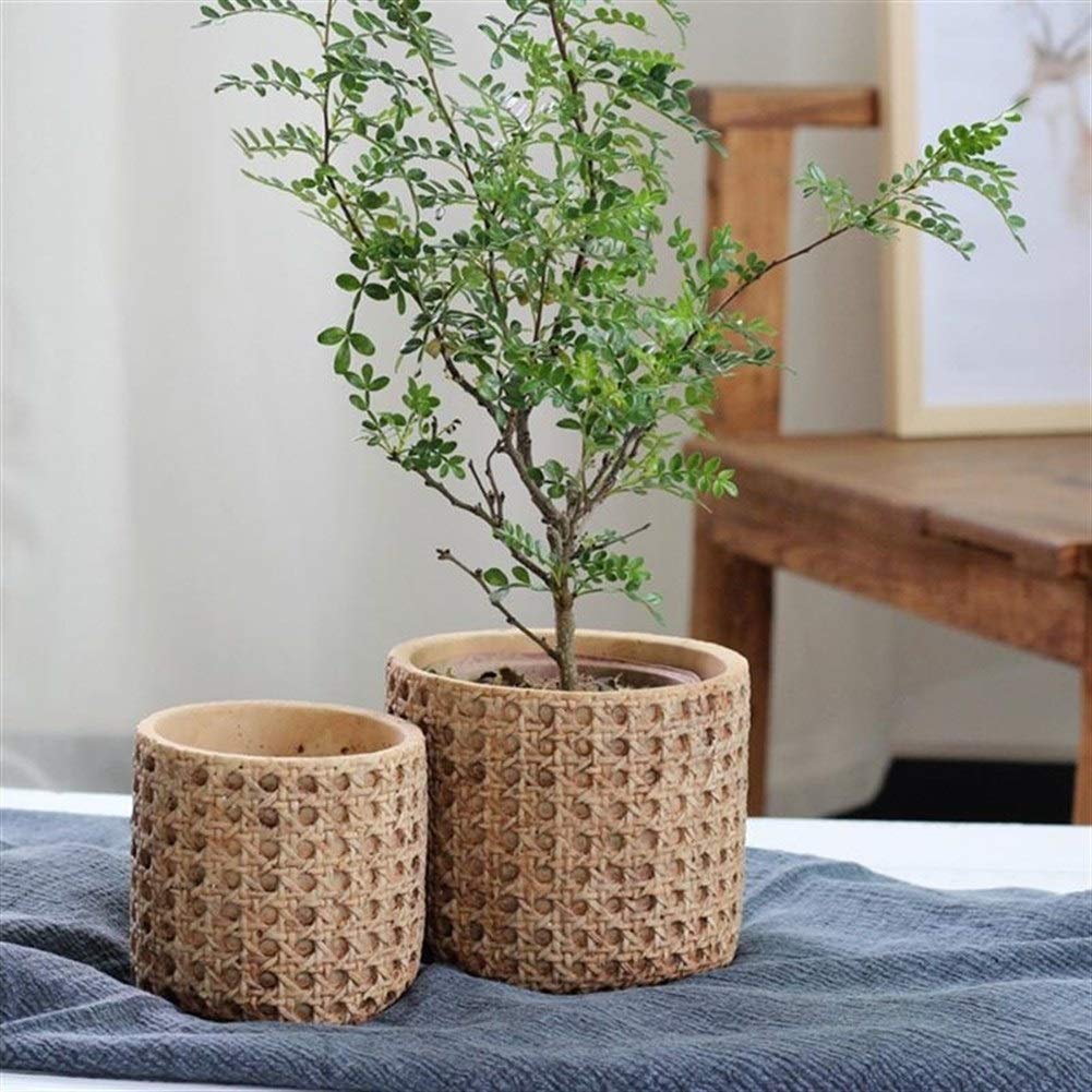 Pentole Pianta 1 Pc Vaso da Fiori Macetas Flower Pot Planter Macetas Rustico Cemento Planter Container Vaso di Fiori Bonsai Pot for Office per Tutte Le Piante da casa, i Fiori, Le Erbe