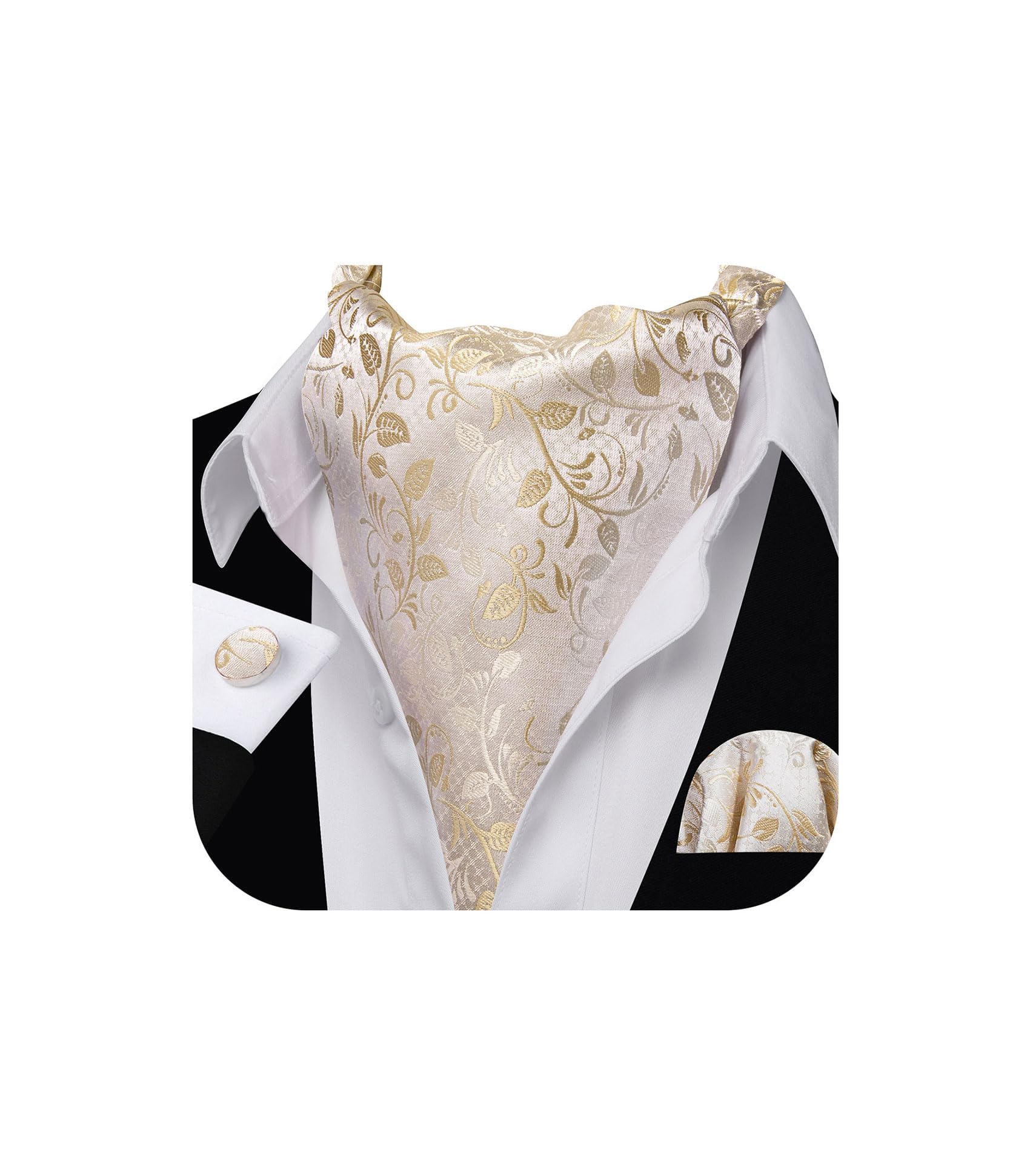 Barry.Wang Ascot for Men Cravat Tie Sets Paisley Scarf Self Tie Necktie