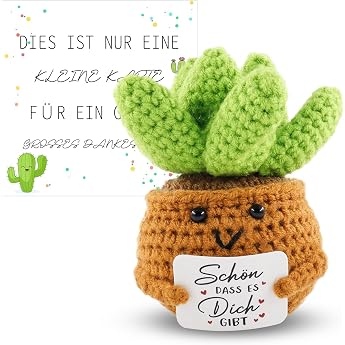 Meanju Pocket Hug Positive Knitted Succulents Thank You Gifts Positive Potato German Replacement with Lucky Charm Card School Courage Gift Farewell Gift for Friends Colleagues