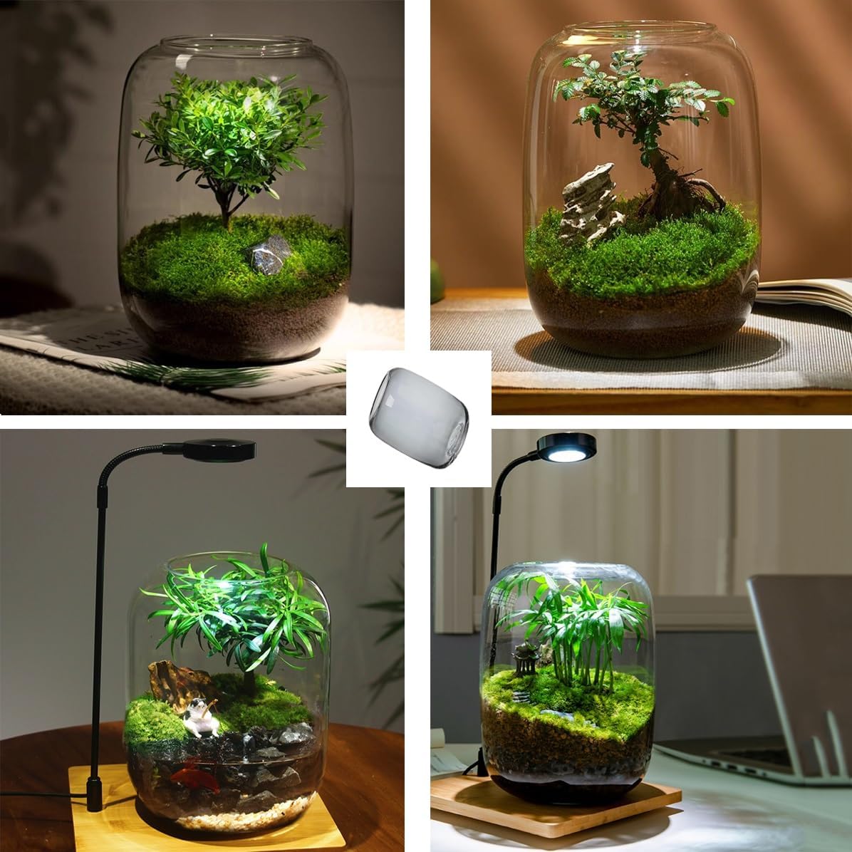 Glass Plant Terrarium with LED Light Plants Containers Office Home Ornamental Plant Glass Container Indoor Flower Pot Micro-Landscape with Grow Light Set Moss Vase Planter Terrariums