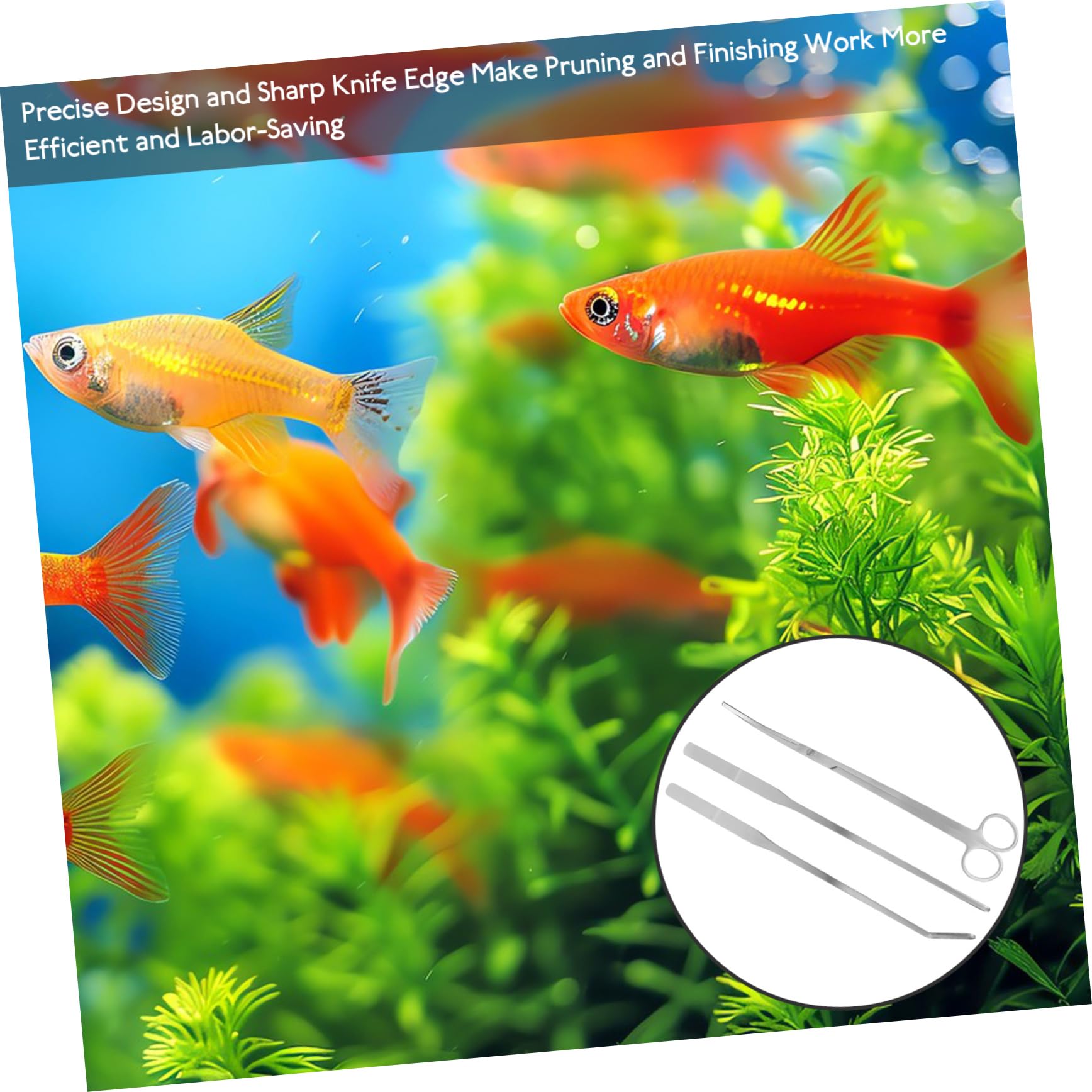 BESPORTBLE 4 Ensembles Outils pour réservoirs Aquatiques Outils d'aquarium Accessoires d'aquarium Ciseaux Aquatiques Outils Plantes Aquatiques Outils d'aquascaping Acier Inoxydable Silver
