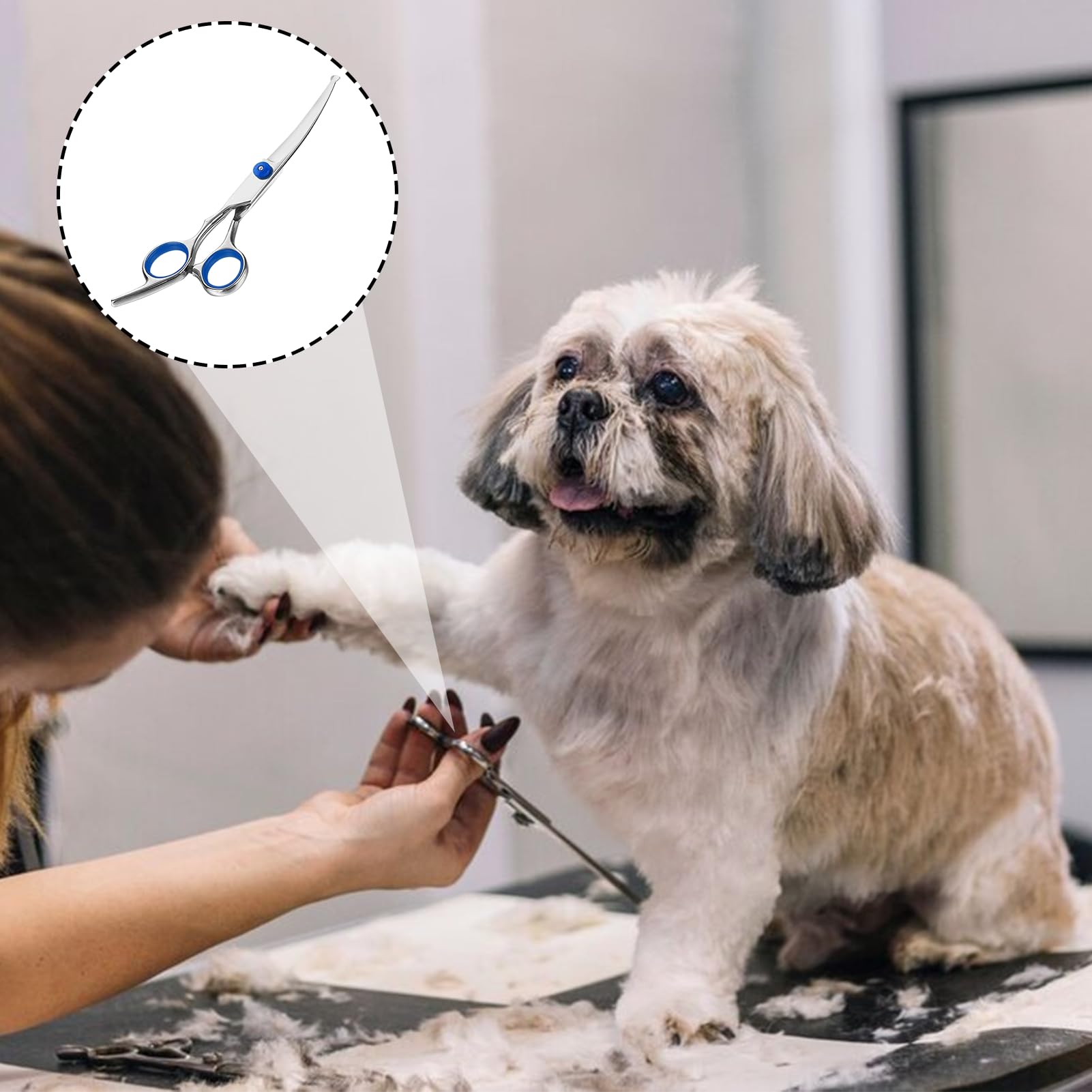 Ciseaux de Toilettage Chien Courbés Professionnels | Idéal pour Finitions Précises Visage et Pattes | Sécurité Maximale avec Pointes Arrondies | Acier Inoxydable 17cm