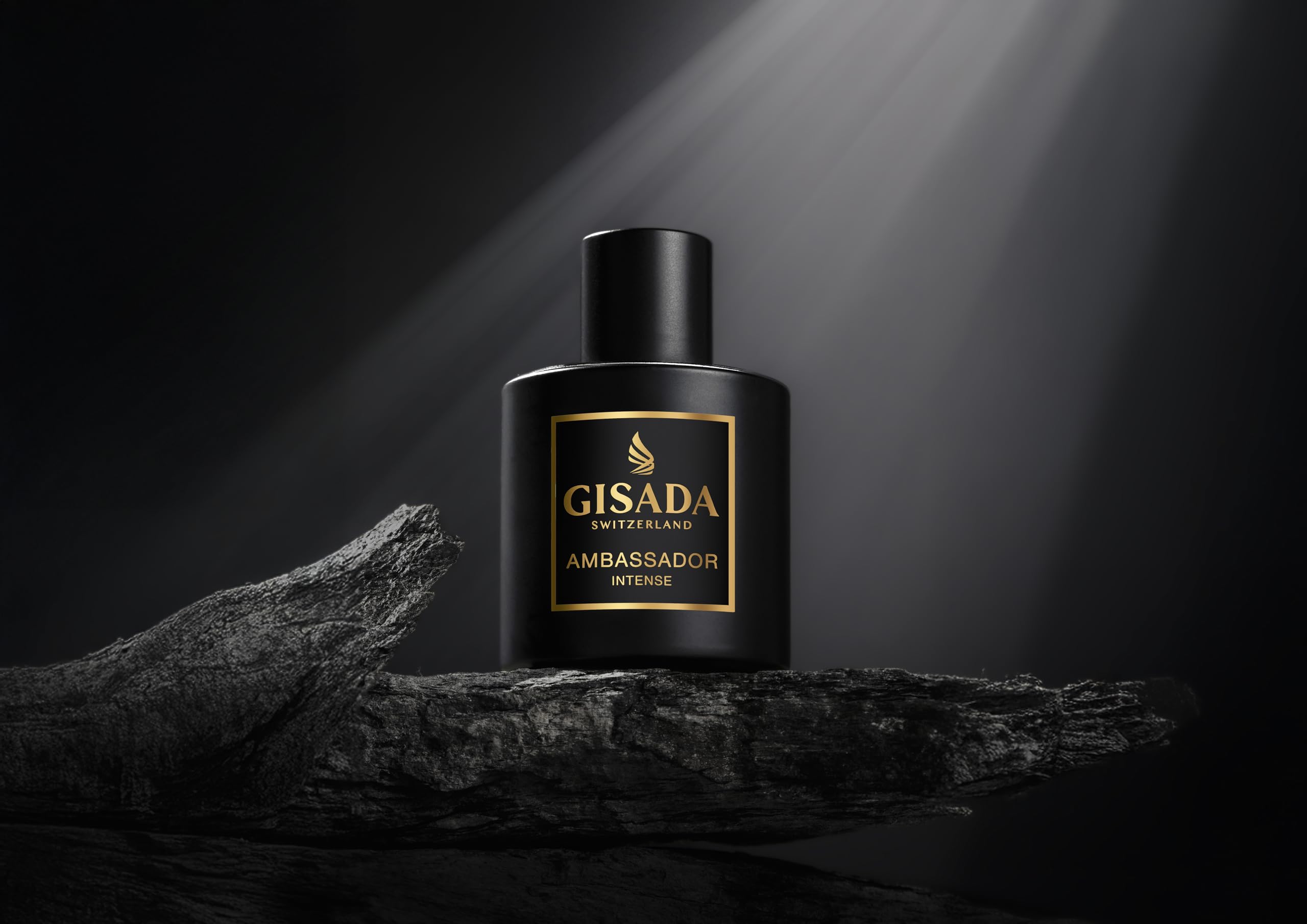 Gisada Ambassador Intense Eau de Parfum 50ml : Amazon.ae: Beauty