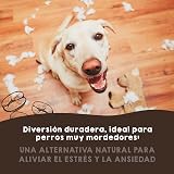 Ver la foto 6