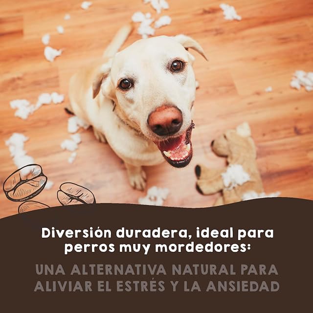 Foto 6 de 7 de MAIKAI Pack 2 Palo de Madera de Café para Perros Talla M - Mordedores Naturales + Alternativa a Huesos