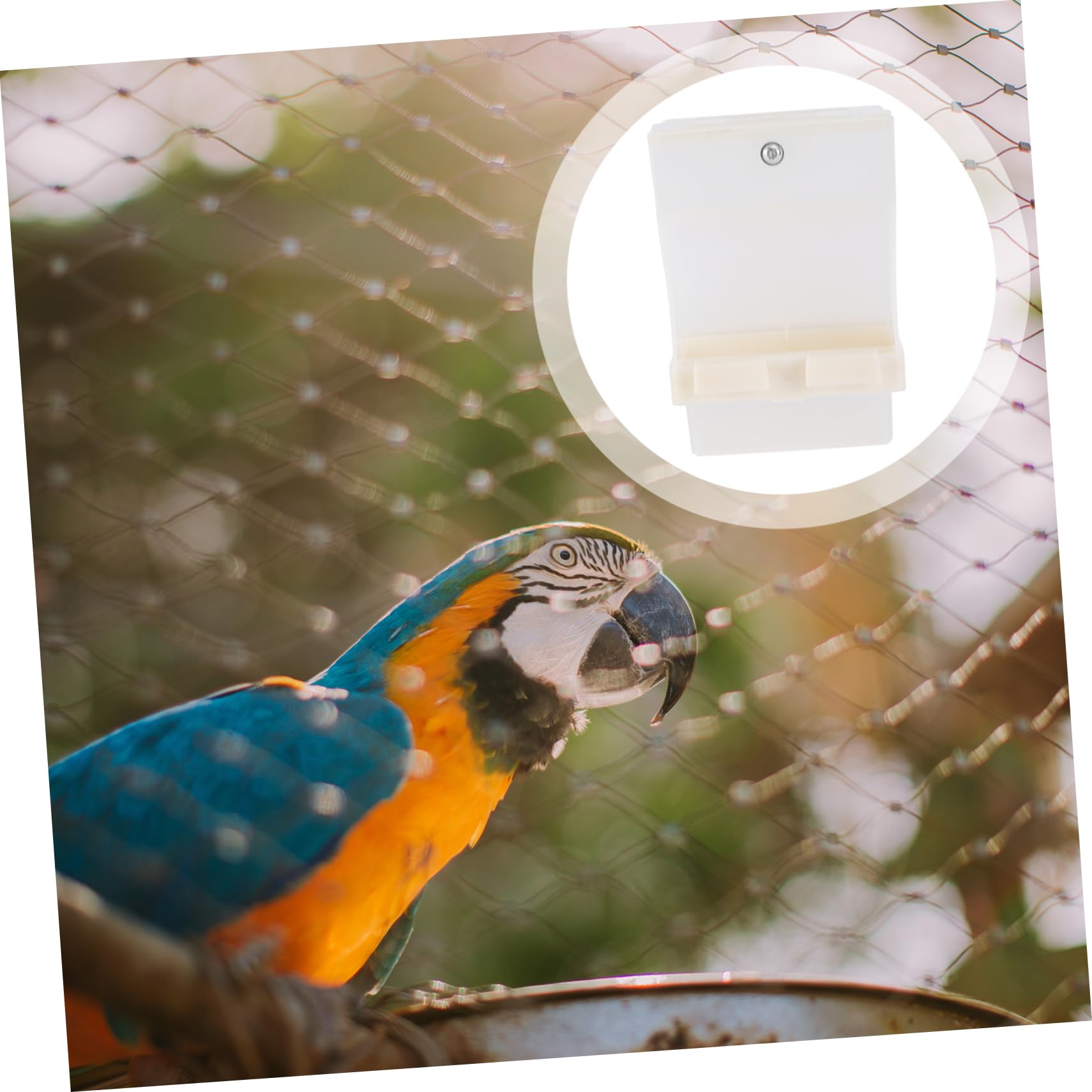 FRCOLOR 3 Pz mangiatoia per parrocchetti mangiatoie automatiche per animali domestici mangiatoie per uccelli alimentatore automatico mangiatoia automatica per piccione Spruzzatore