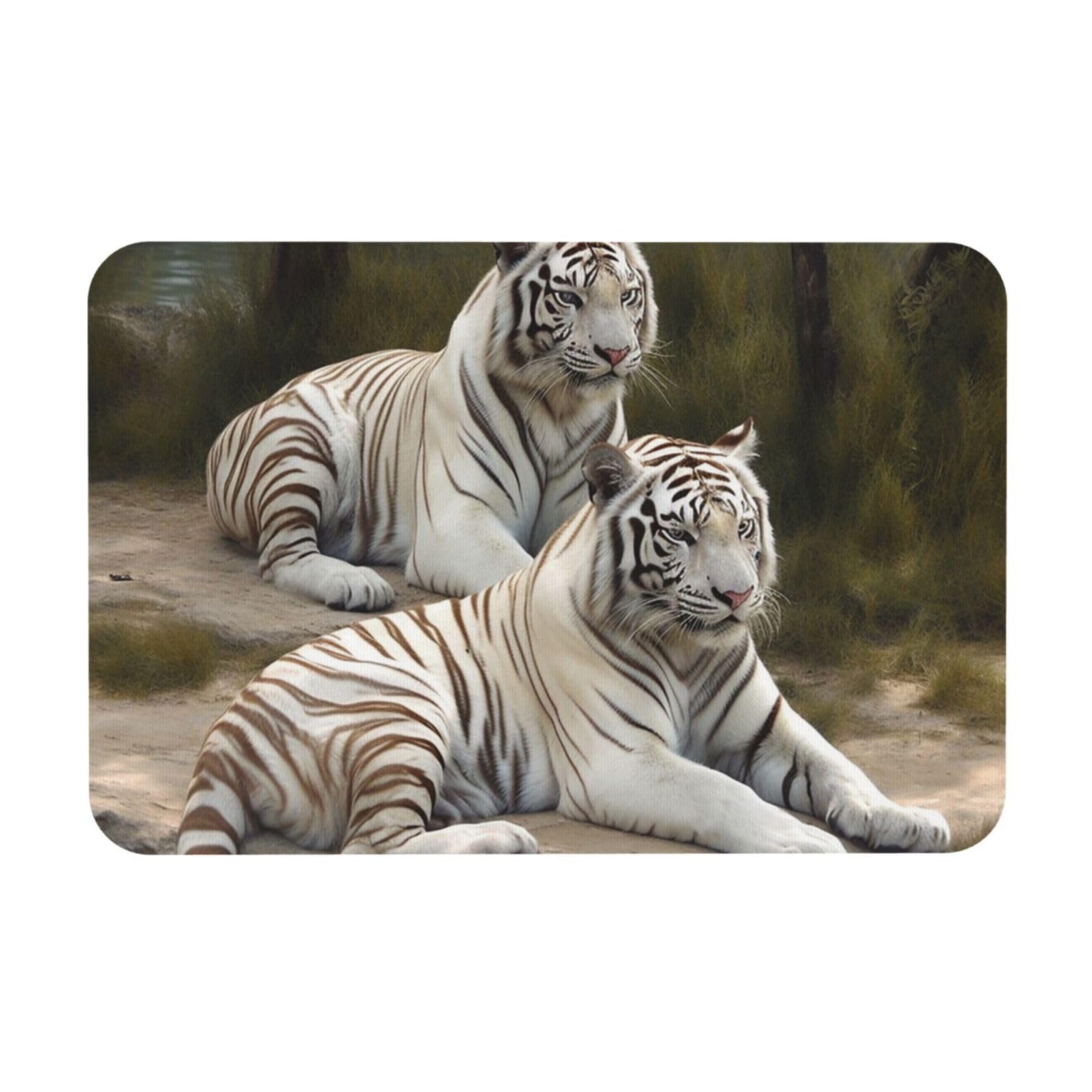 Tapis de bain en pierre anti-glissade facile à nettoyer 60x40