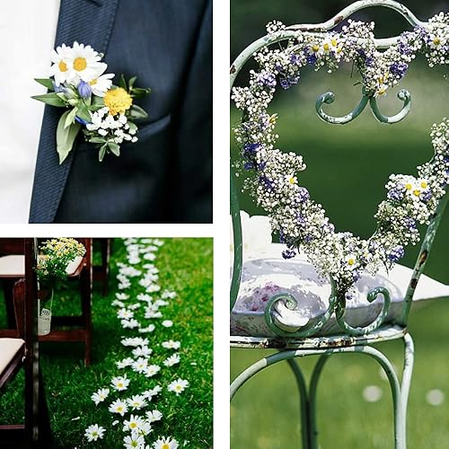 Miniatura 4 de Margarita artificial, 200 cabezas de margaritas de seda de tela falsa, cabeza floral de 1.57 pulgadas para huevos de Pascua, gorro de playa,