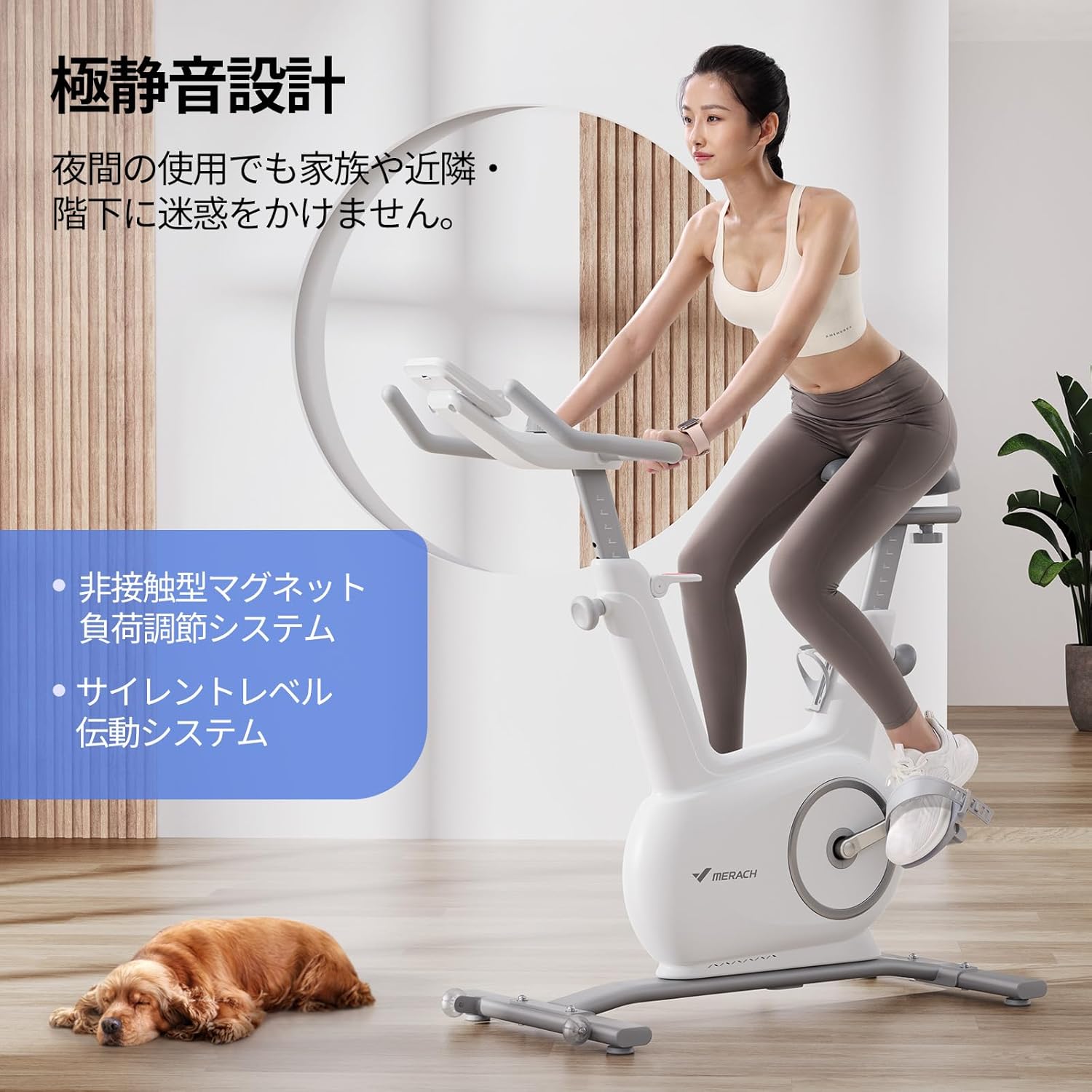 マイリック室内フィットネスバイク