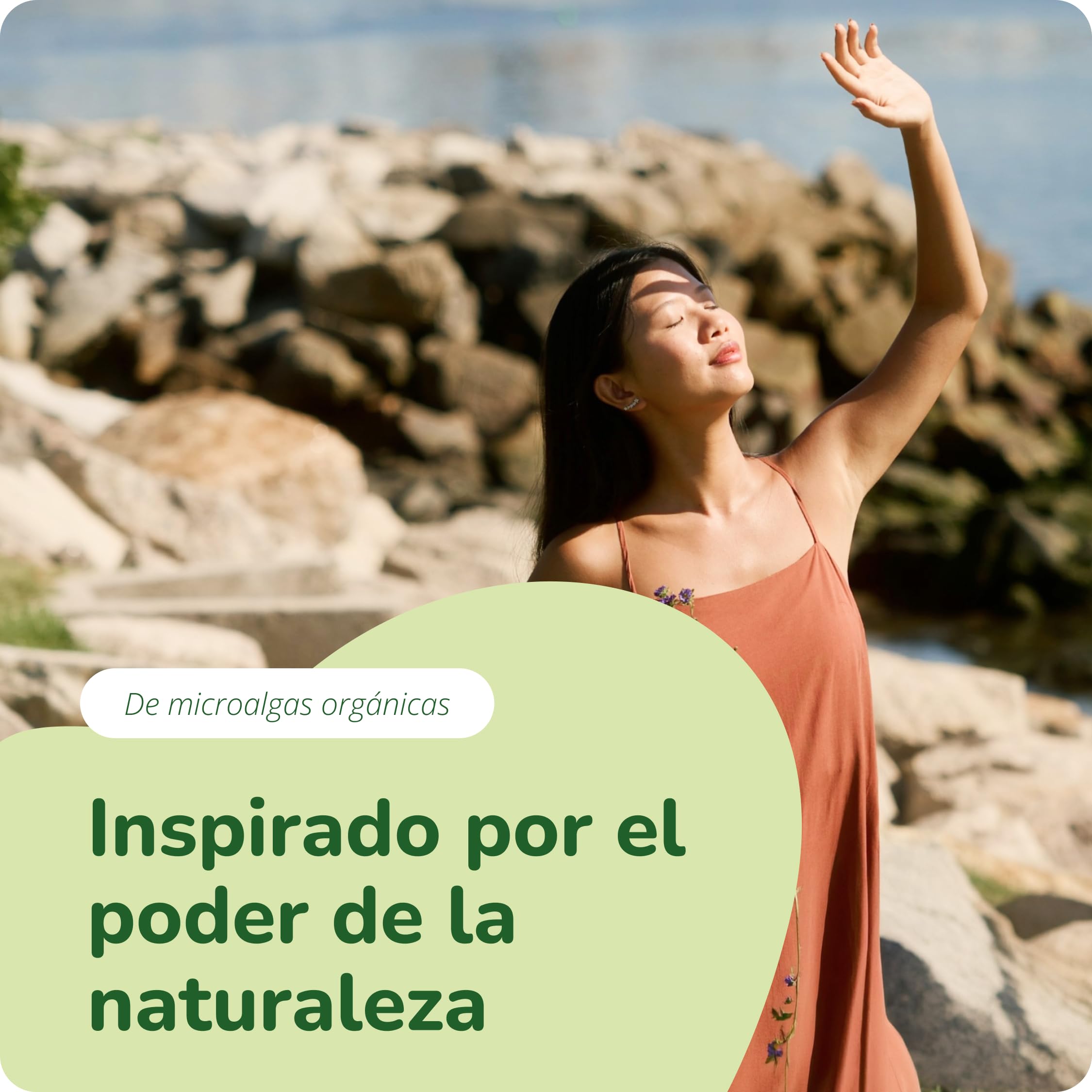 Astaxantina BIO Vegavero | 8 mg en Aceite Ecológico Puro | Alta Absorción | 60 Cápsulas | Antioxidante y para la Vista | Sin aditivos | Vegano