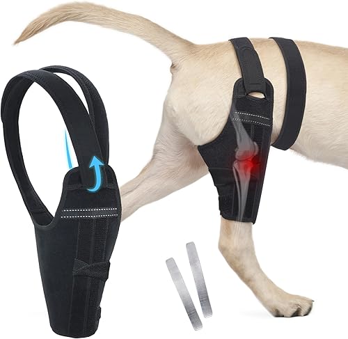 Rodillera para perro para ajuste de pierna trasera, perros grandes, medianos y pequeños, soporte fuerte, ajustable, con 2 tiras de metal para