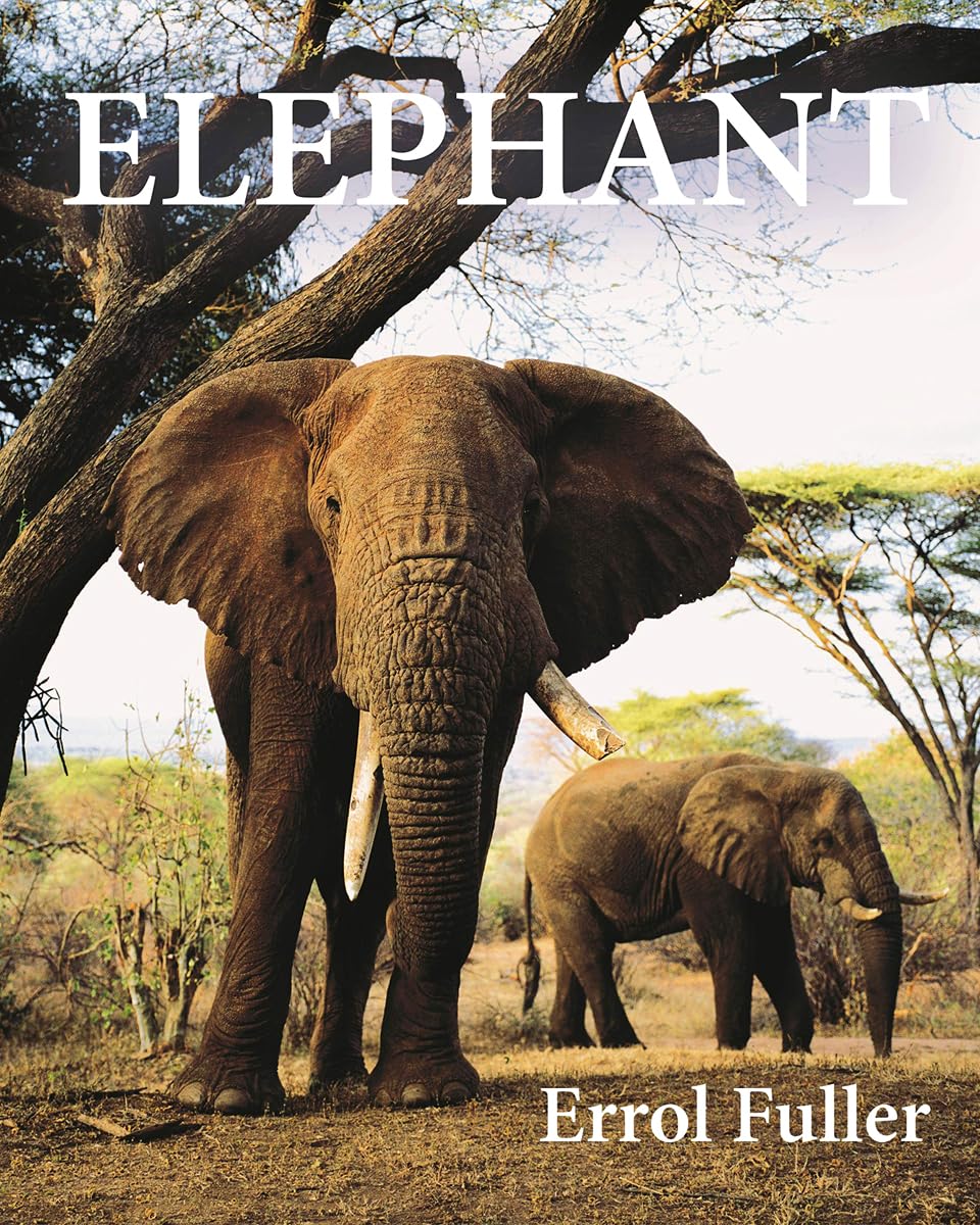 Elephant by Errol Fuller - 9780691191324