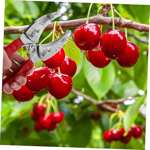 Miniatura 6 de BESPORTBLE Circumcision Shears Pruning Scissor Grape Pruner Garden Hand Pruners Garden Tools Floral Scissors Pink Jujube Second Generation Cutting