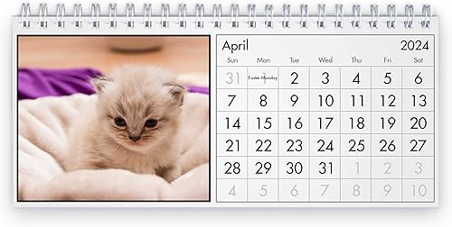 Miniatura 8 de Calendario de escritorio 2024 de gato persa