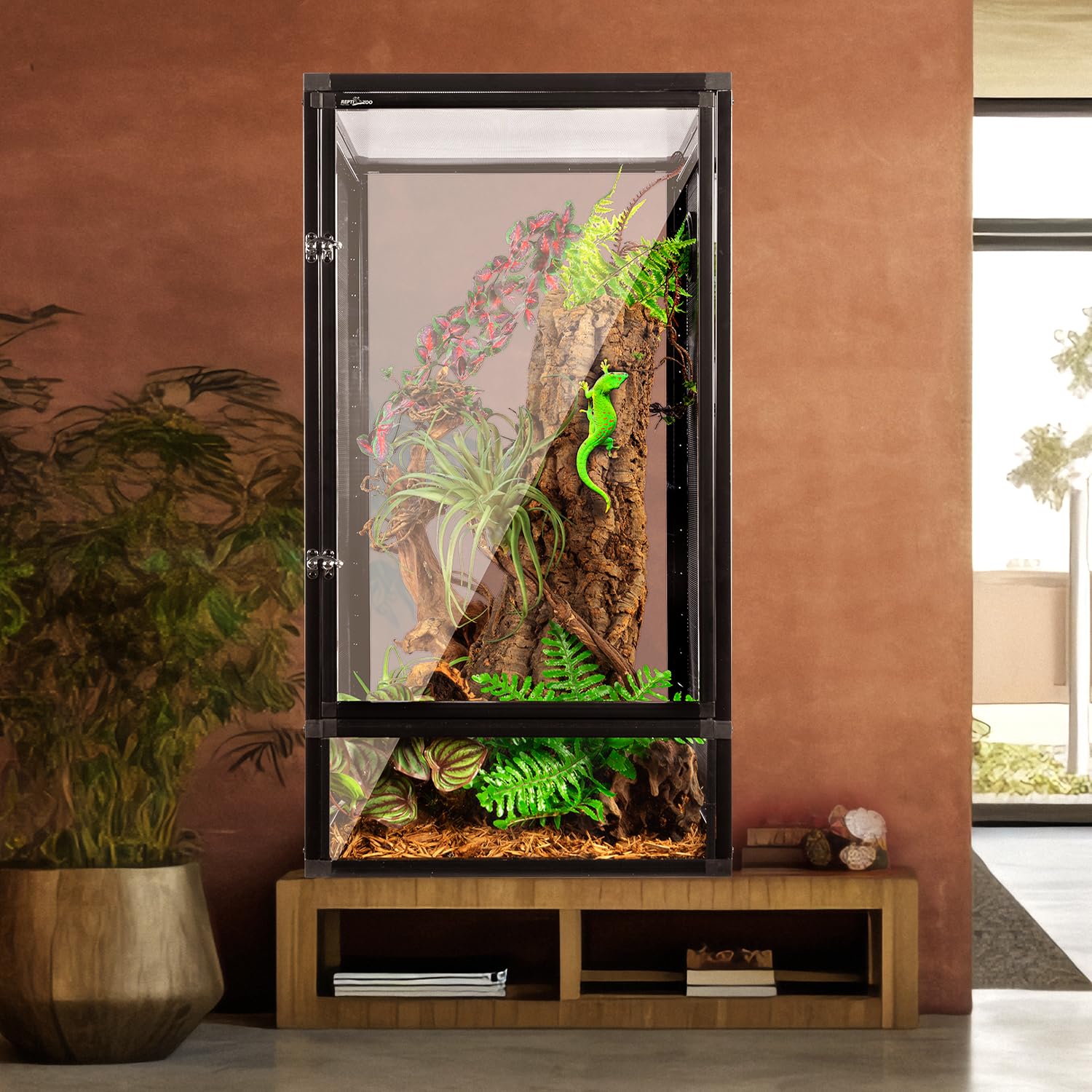 Amazon.com: REPTI ZOO: Tall Reptile Terrarium