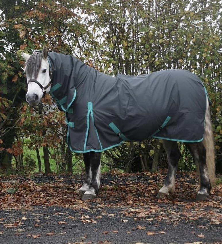Autumnn Equestrian 100g Turrnout Horse Rug Lightweight 600D Ripstop Waterproof Horse Rug Combo Full Neck (7'0'')