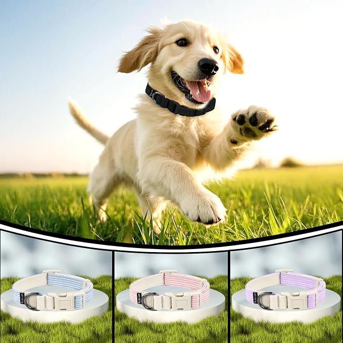 Collar para perros pequeños ajustable de pana negro S miniatura 6