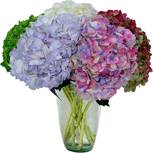 Flores del Este 10 tallos surtidos (jarrón no incluido)  Envío directo de Fresh Farm  No hay entregas el fin de semana  Regalo para el día de la