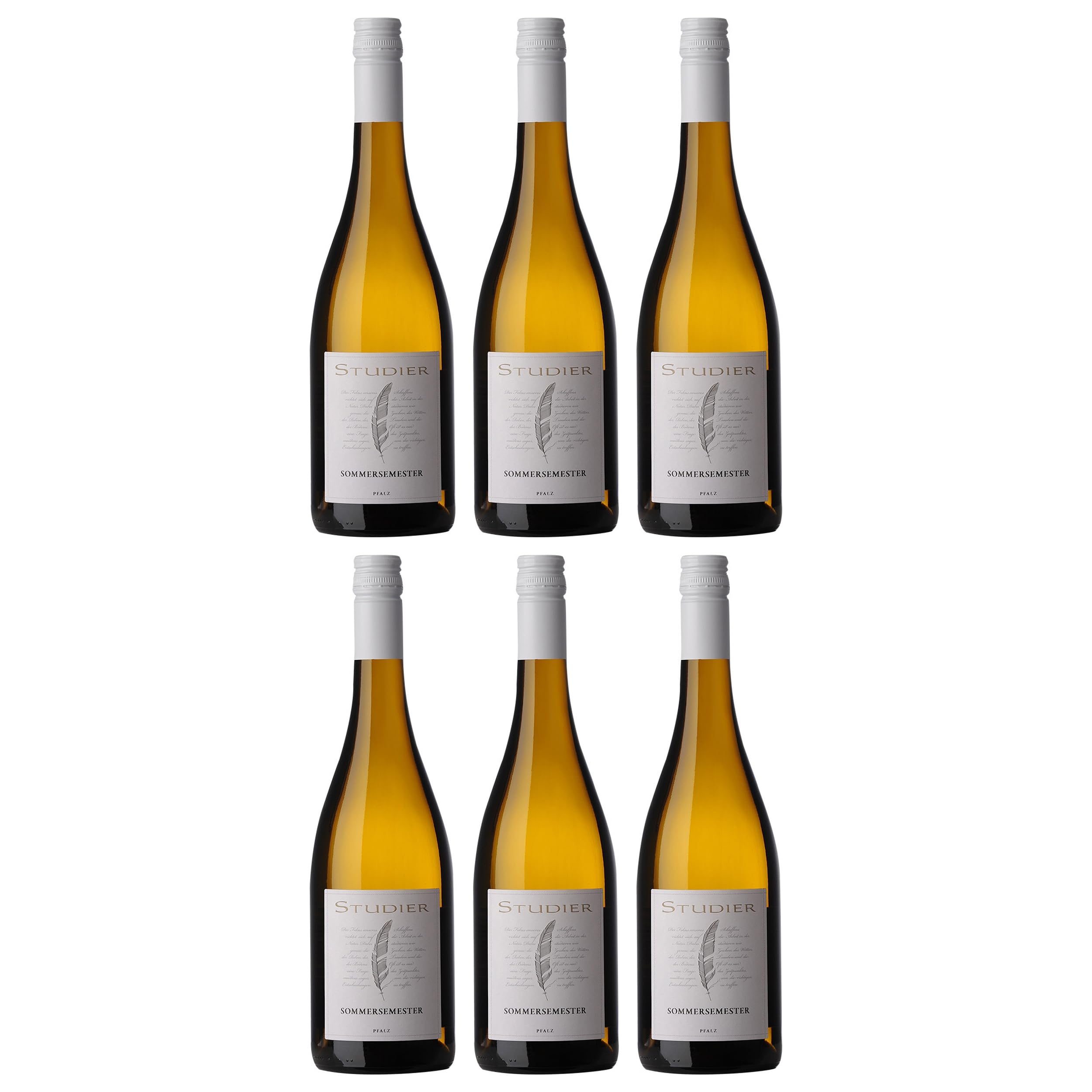 Weingut Studier SOMMERSEMESTER BIO vegan Deutschland inkl. FeinWert E-Book (6 x 0.75 l)
