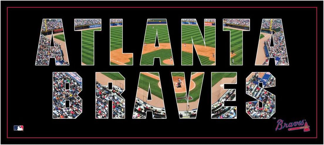 MLB Atlanta Braves Artissimo Team Pride 36x12 Canvas Art