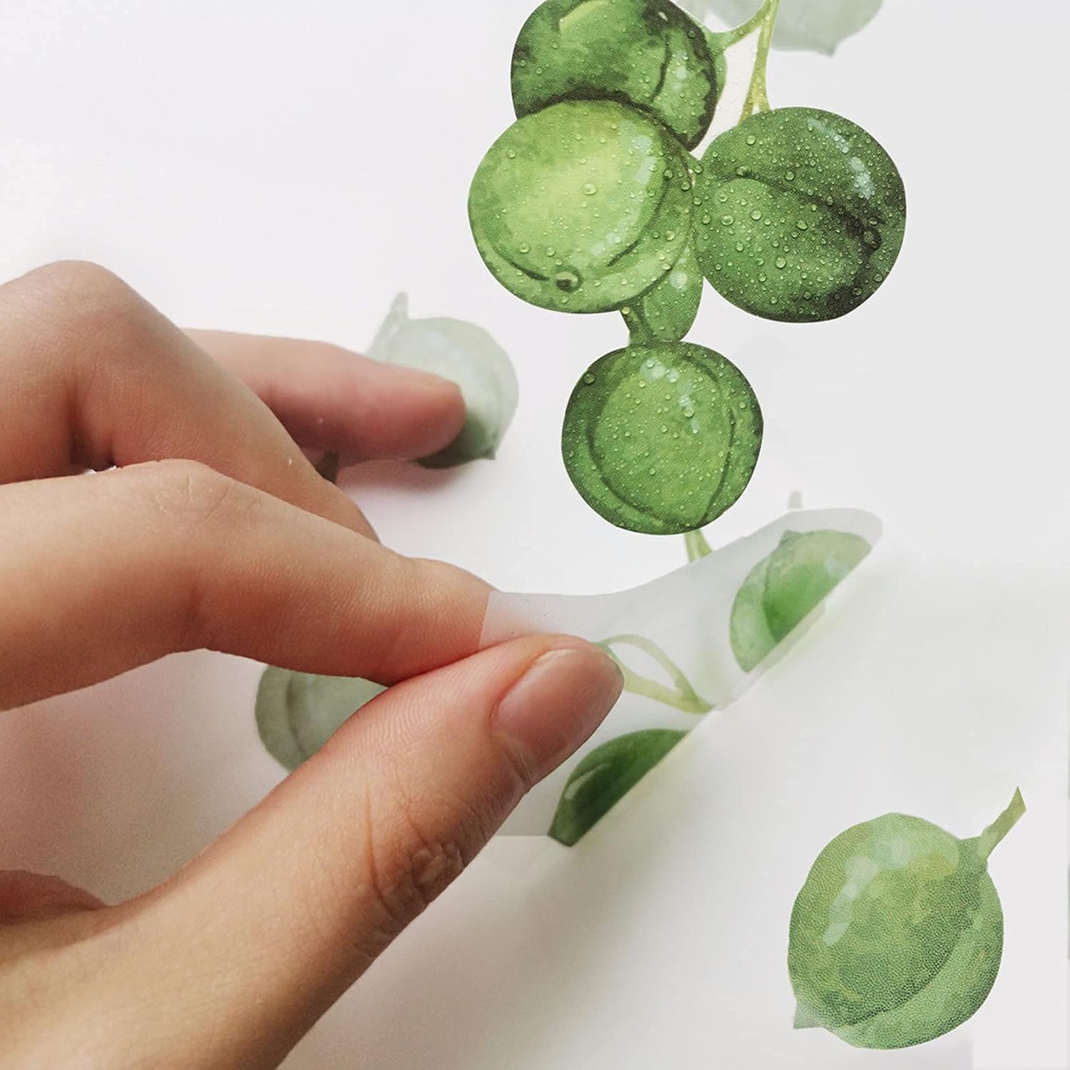 String of Pearls Vine Peel and Stick Wall Decals Elegant Vines Wall Stickers Green Plants Leaf Wall Decals for Living Room Removable Wall Art Mural Decor Nature Wall Decals Decoration for Nursery : Tools & Home Improvement