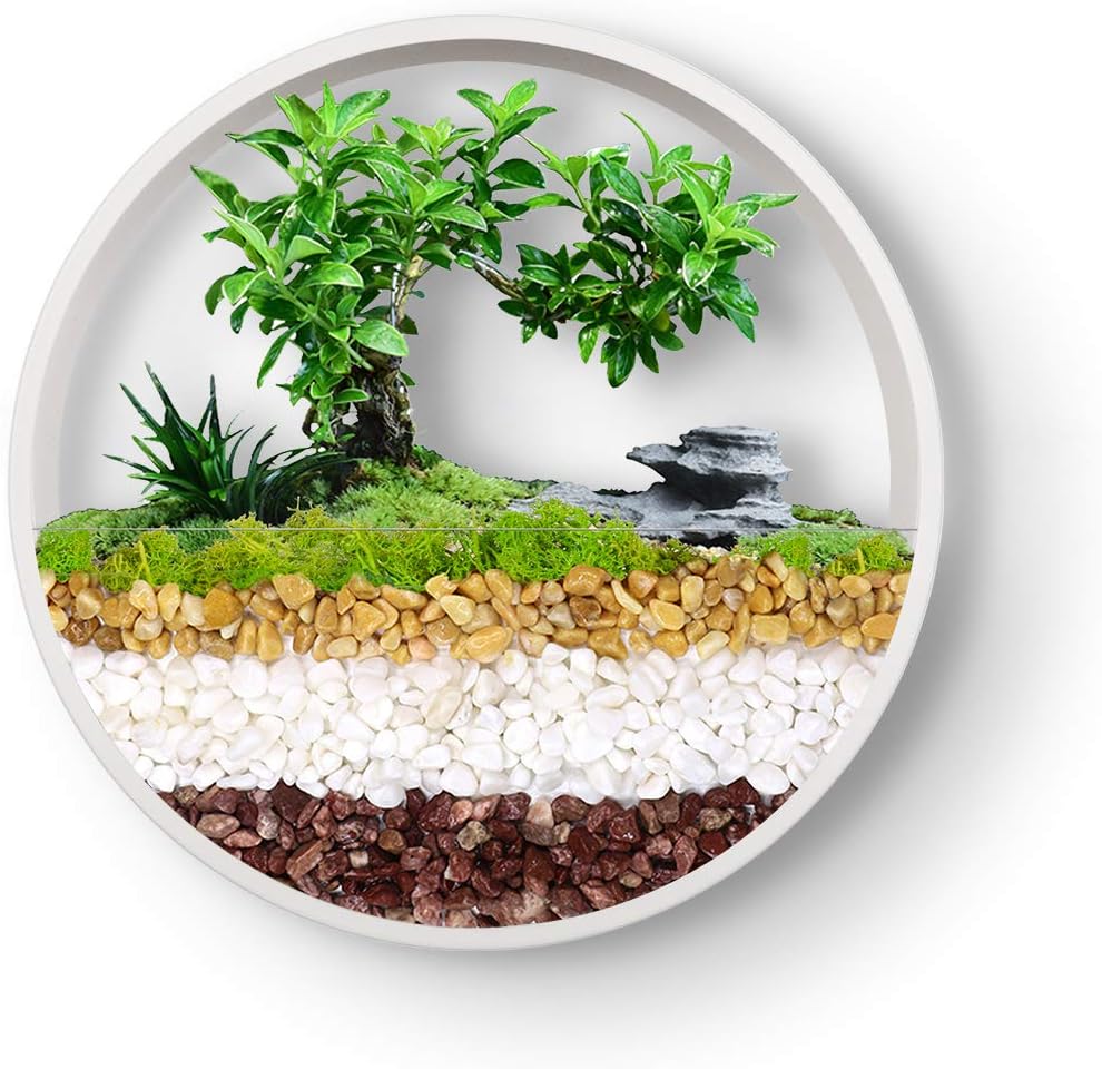 Hanging Wall Planter Hanging Basket Wall Mounted Vase Round Wall Planter Circle Metal Air Plant Succulent Cactus Holder Geometric Wall Planter Vertical Plant Container (White, 12'')