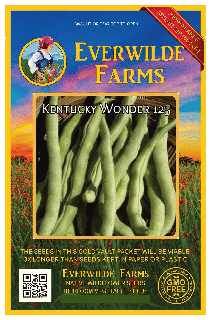 Everwilde Farms100 Kentucky Wonder Pole Pole Bean Seeds - Gold Vault Jumbo Seed Packet