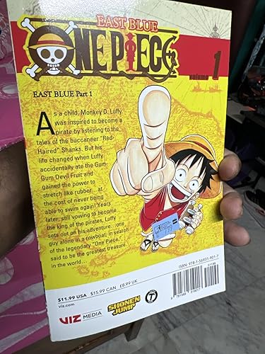 One Piece, Vol. 1: Romance Dawn (One Piece Graphic Novel) eBook