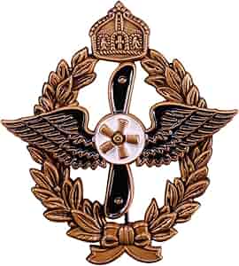 71C98aWNPrL._AC_SY300_QL30_.jpg