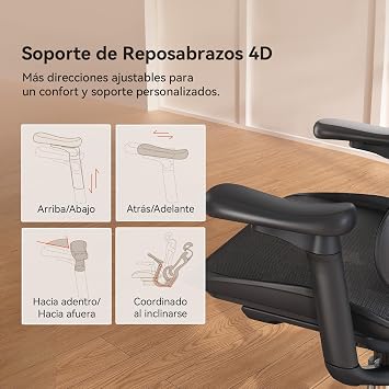 SIHOO Doro C300 Ergonomic Office Chair with Ultra Soft 3D Armrests, Dynamic Lumbar Support for Home Office Chair, Adjustable Backrest for Desk Chair (Black)