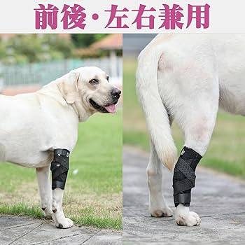 Sendico公式アカウント2　ビニールロボット犬8点 犬用歩行補助ハーネス LaLaWalk 小型犬 ダックス用 サポーター