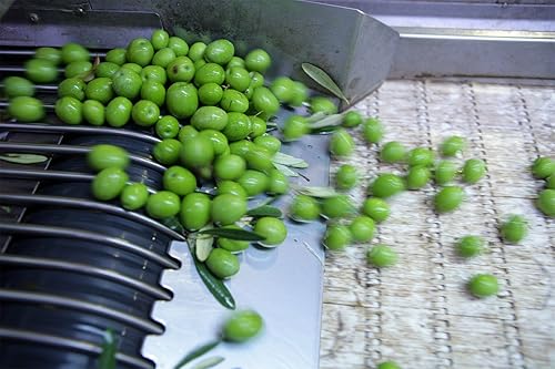 Miniatura 2 de Paquetes de aperitivos de oliva - 8 unidades paquetes de 2.3 oz (Kalamata)