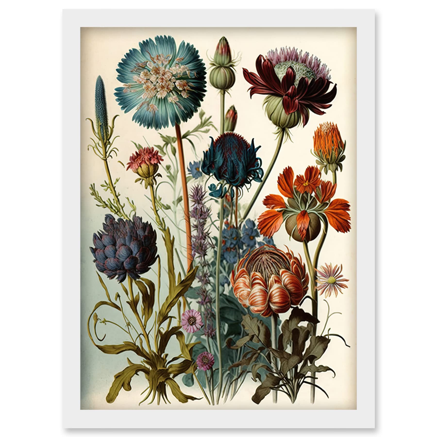 Ernst Haeckel Botanical Illustration - Watercolour Plant Study Print - Framed Wall Art A4