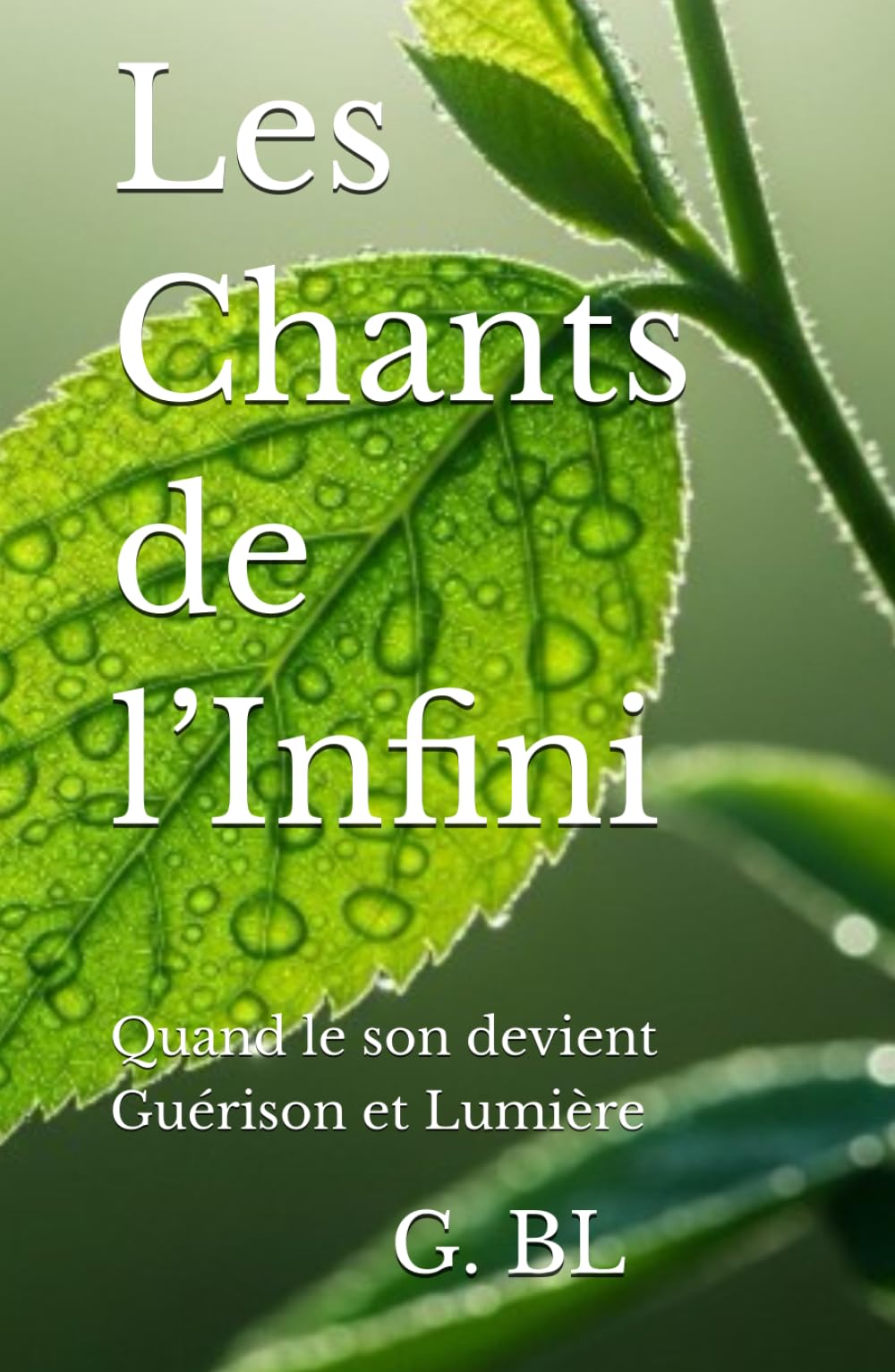 Les Chants de l’Infini: Quand le son devient Guérison et Lumière