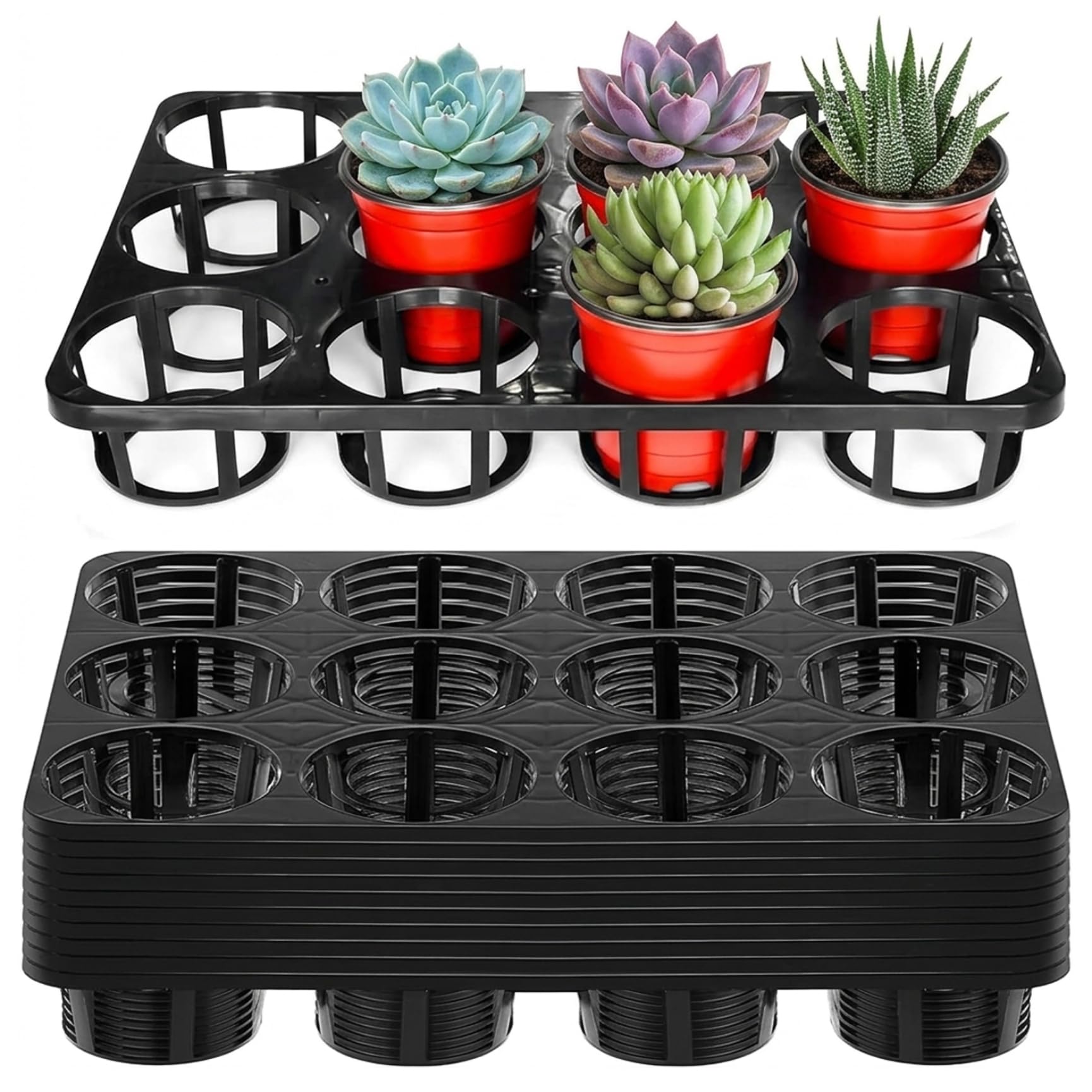 Plateaux de plantes 12 cellules : transportez vos pots 4 pouces