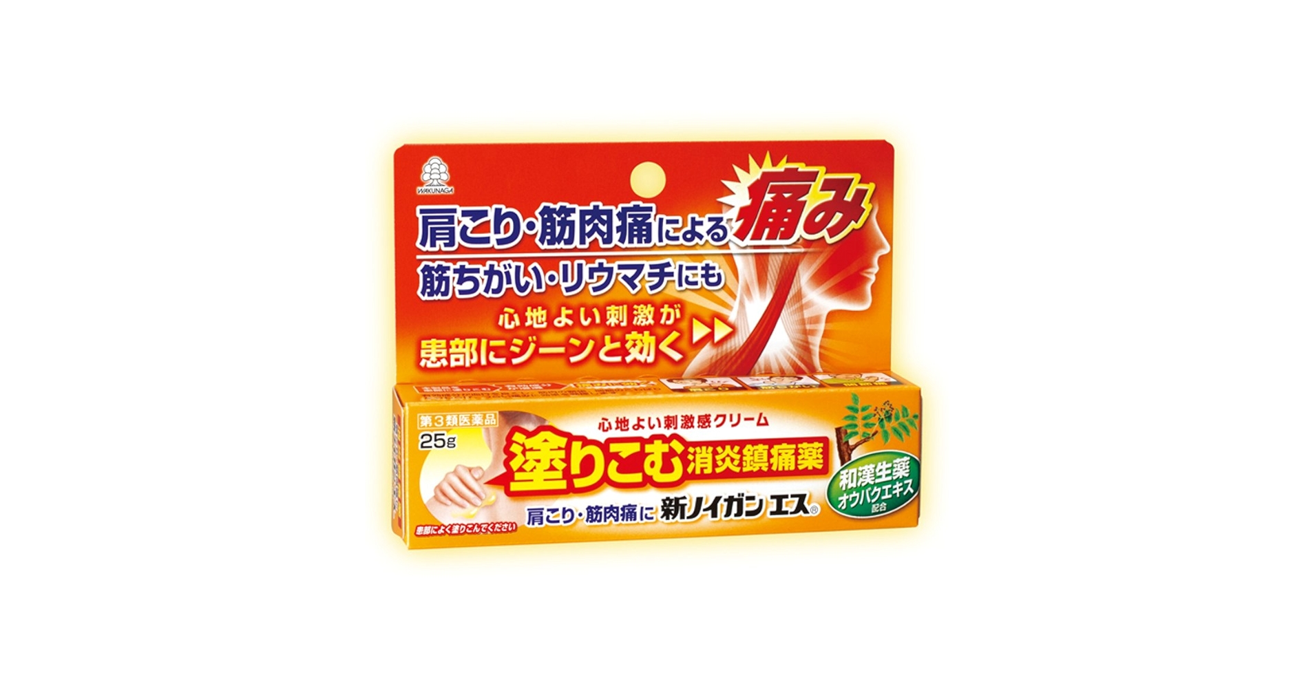 Amazon | 【第3類医薬品】新ノイガンエス 25g | 湧永製薬