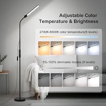 LED Floor Lamp with Remote Control, 18W/2000LM Bright Lamp with Double Head