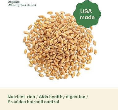 Rose & Branch Organic Wheat Grass Seeds for Indoor Cats - Cat Grass Seeds - 16 Ounces - 100% Organic Non-GMO - Hard Red Wheat - Harvested in USA - Easy to Grow