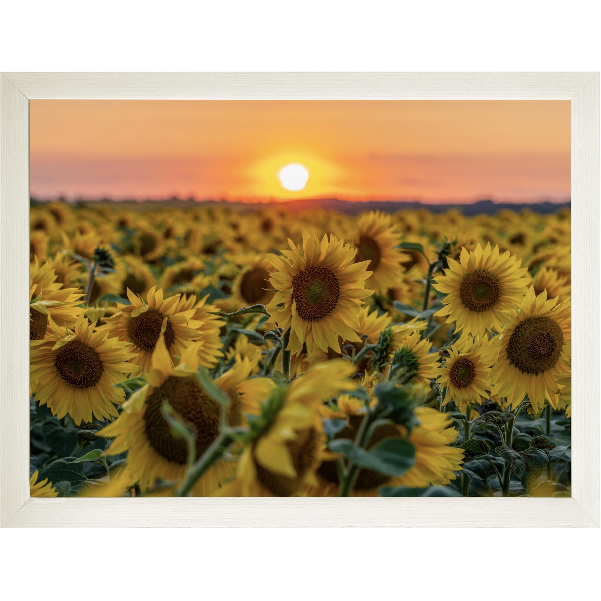 Trove Homewares Yellow Sunflower Lap Tray With Bean Bag Cushion, Sunset Soft Padded Tv Dinner Tray Table For Eating, Large Cushioned Laptop Desk Trays (Frame Choices X 4)