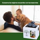 Ver la foto 6