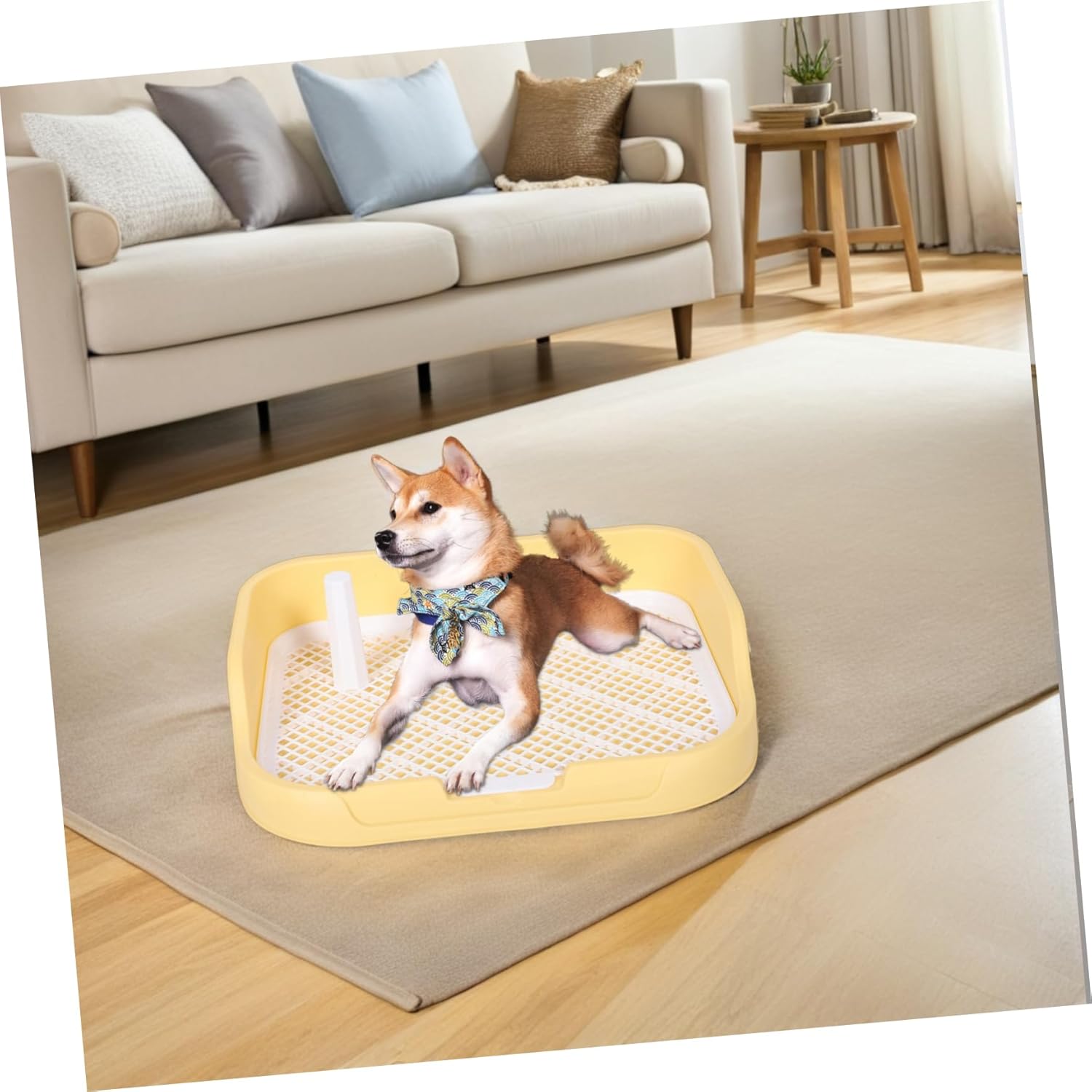 Indoor Dog Toilet with Removable Post and Splashproof Design Stable and Reliable Potty Tray for Pet for Training Puppies and Keeping Floors Clean